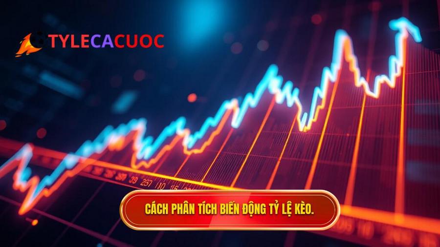 Phân tích sự biến động của tỷ lệ kèo nhà cái