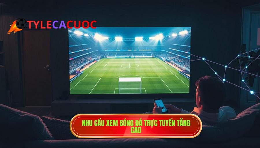 Tại sao nhu cầu tìm kiếm link xem bóng đá ngày càng tăng cao?